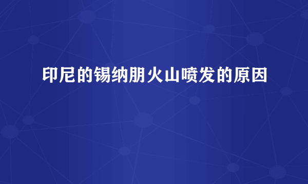 印尼的锡纳朋火山喷发的原因