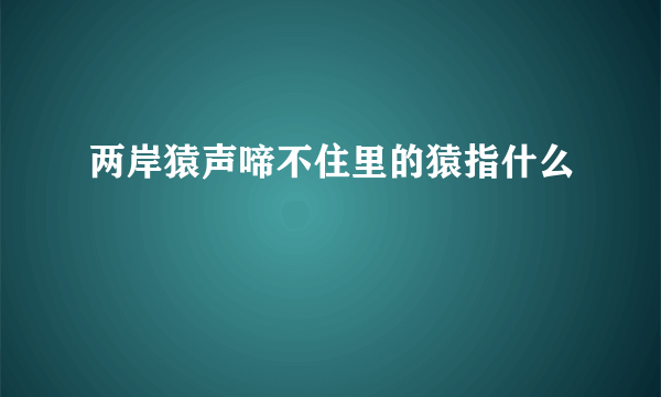 两岸猿声啼不住里的猿指什么