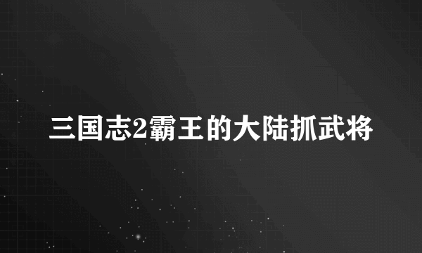 三国志2霸王的大陆抓武将