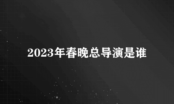 2023年春晚总导演是谁