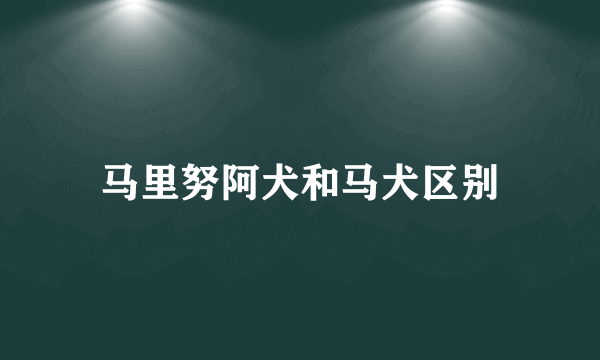 马里努阿犬和马犬区别