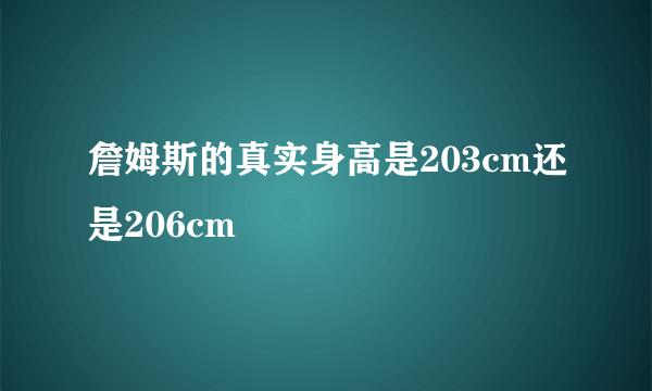 詹姆斯的真实身高是203cm还是206cm