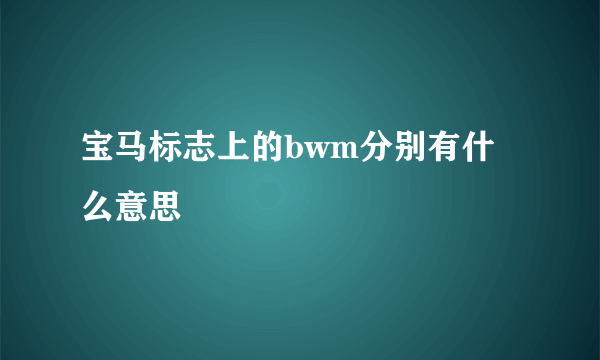 宝马标志上的bwm分别有什么意思