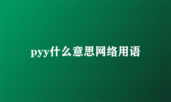 pyy什么意思网络用语