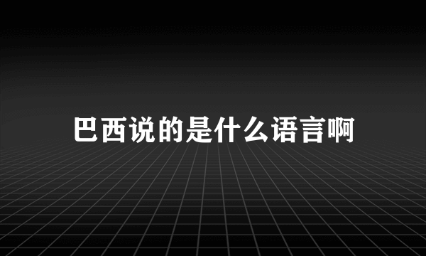 巴西说的是什么语言啊