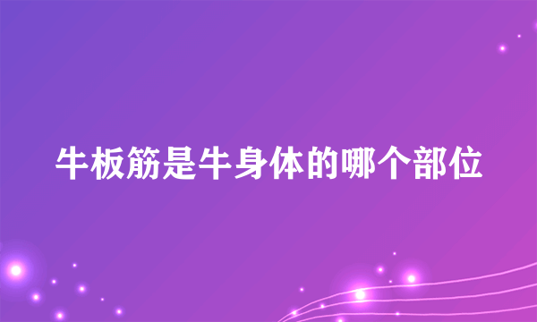 牛板筋是牛身体的哪个部位