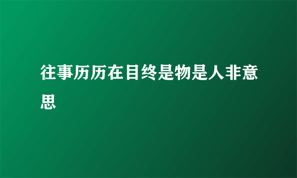 往事历历在目终是物是人非意思