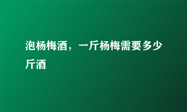 泡杨梅酒，一斤杨梅需要多少斤酒