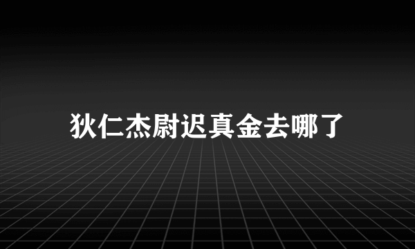 狄仁杰尉迟真金去哪了