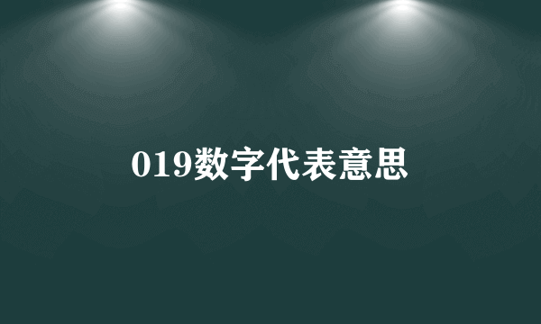 019数字代表意思