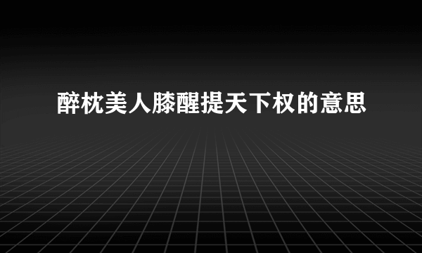 醉枕美人膝醒提天下权的意思