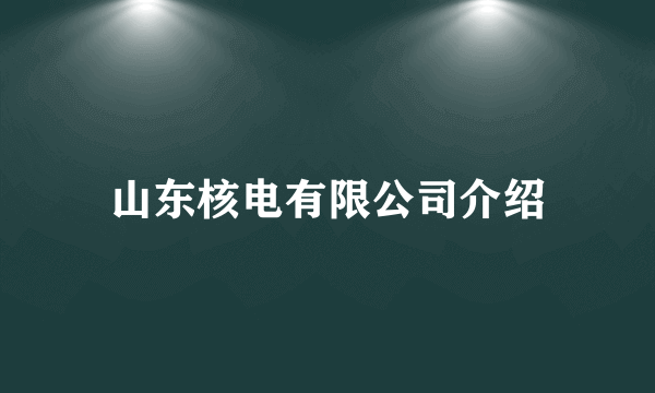 山东核电有限公司介绍