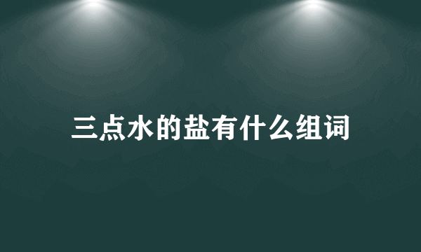 三点水的盐有什么组词