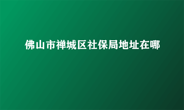 佛山市禅城区社保局地址在哪