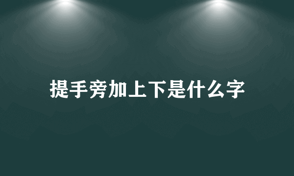 提手旁加上下是什么字