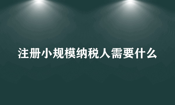 注册小规模纳税人需要什么