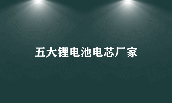 五大锂电池电芯厂家