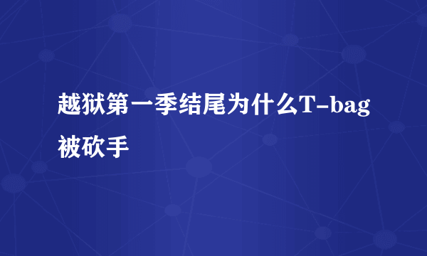 越狱第一季结尾为什么T-bag被砍手