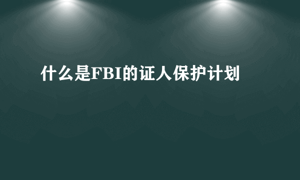 什么是FBI的证人保护计划