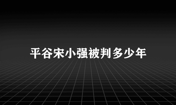 平谷宋小强被判多少年