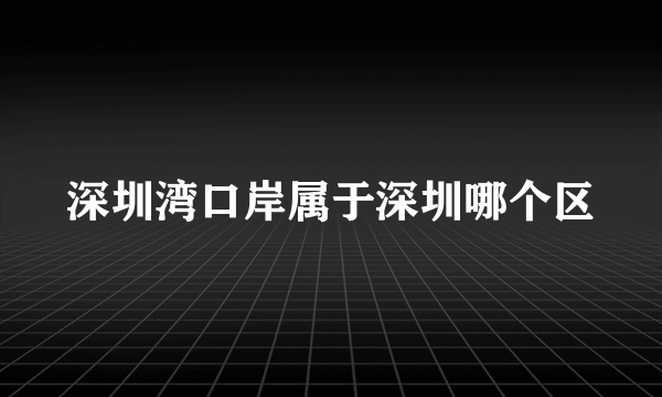 深圳湾口岸属于深圳哪个区