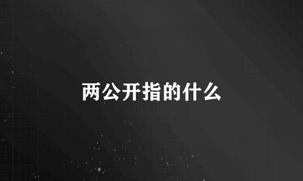 两公开指的什么