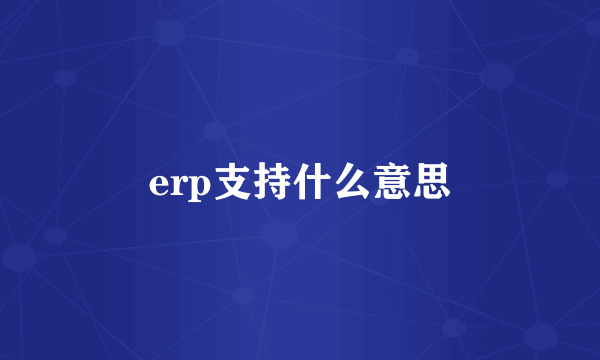 erp支持什么意思