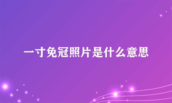 一寸免冠照片是什么意思