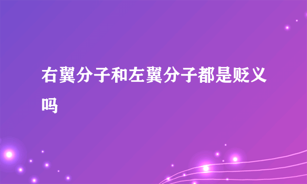 右翼分子和左翼分子都是贬义吗