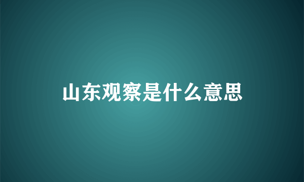 山东观察是什么意思