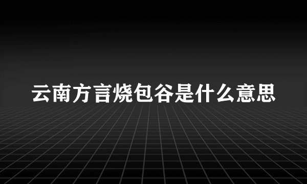 云南方言烧包谷是什么意思