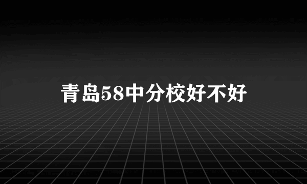 青岛58中分校好不好