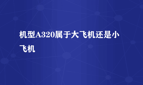 机型A320属于大飞机还是小飞机