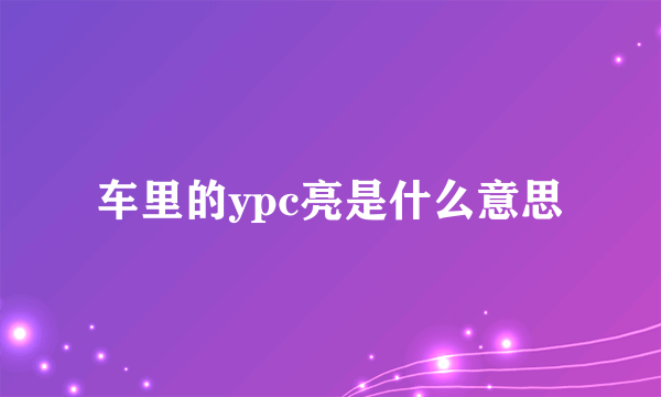 车里的ypc亮是什么意思