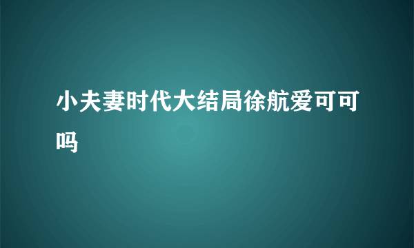 小夫妻时代大结局徐航爱可可吗