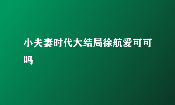 小夫妻时代大结局徐航爱可可吗