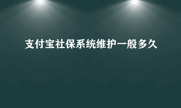 支付宝社保系统维护一般多久