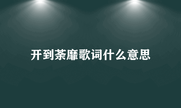 开到荼靡歌词什么意思