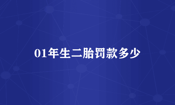 01年生二胎罚款多少