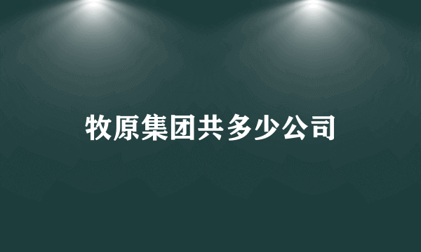 牧原集团共多少公司