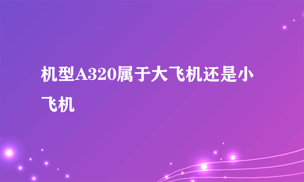 机型A320属于大飞机还是小飞机