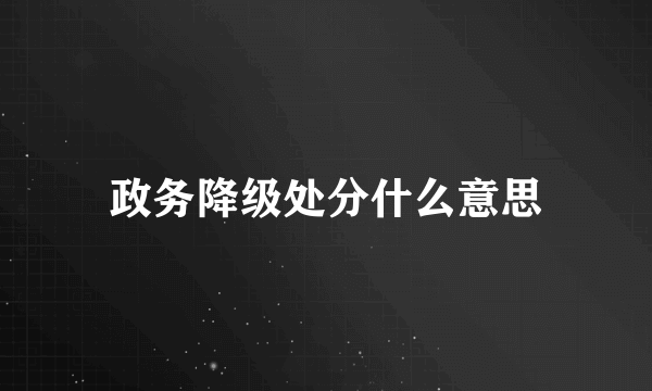 政务降级处分什么意思