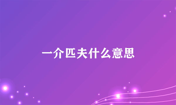 一介匹夫什么意思