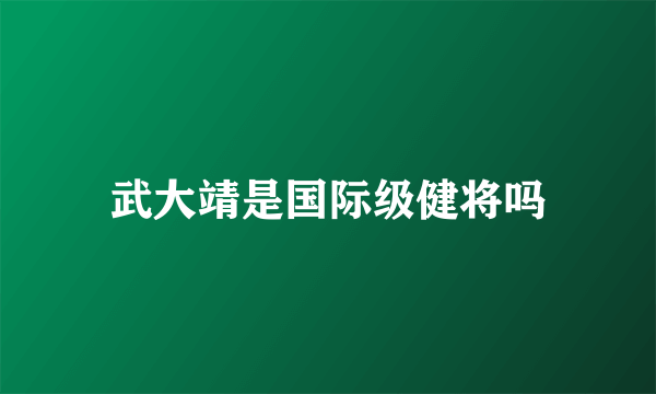 武大靖是国际级健将吗