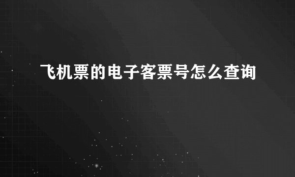 飞机票的电子客票号怎么查询