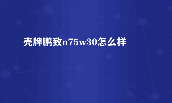 壳牌鹏致n75w30怎么样