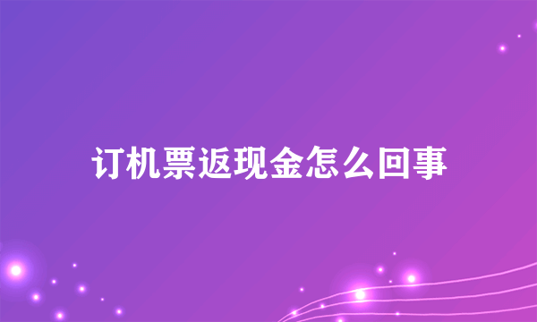 订机票返现金怎么回事