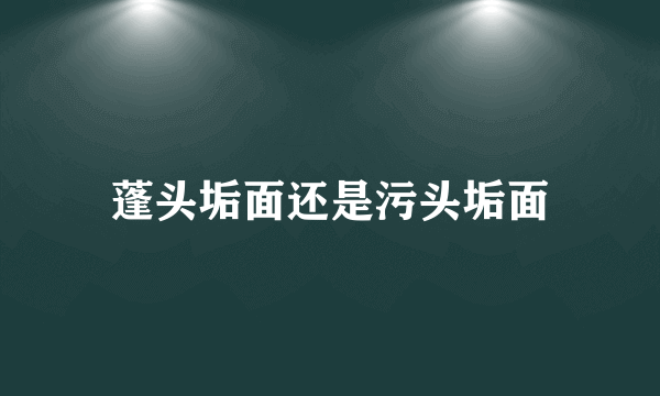 蓬头垢面还是污头垢面