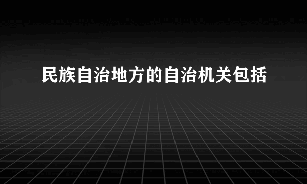 民族自治地方的自治机关包括