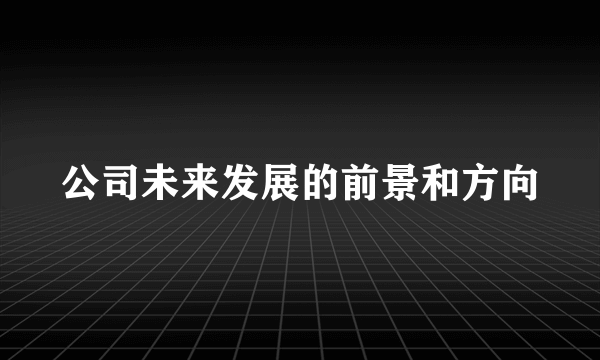 公司未来发展的前景和方向